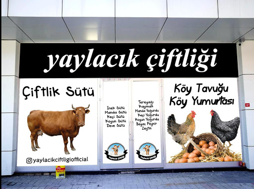 YAYLACIK SÜT 